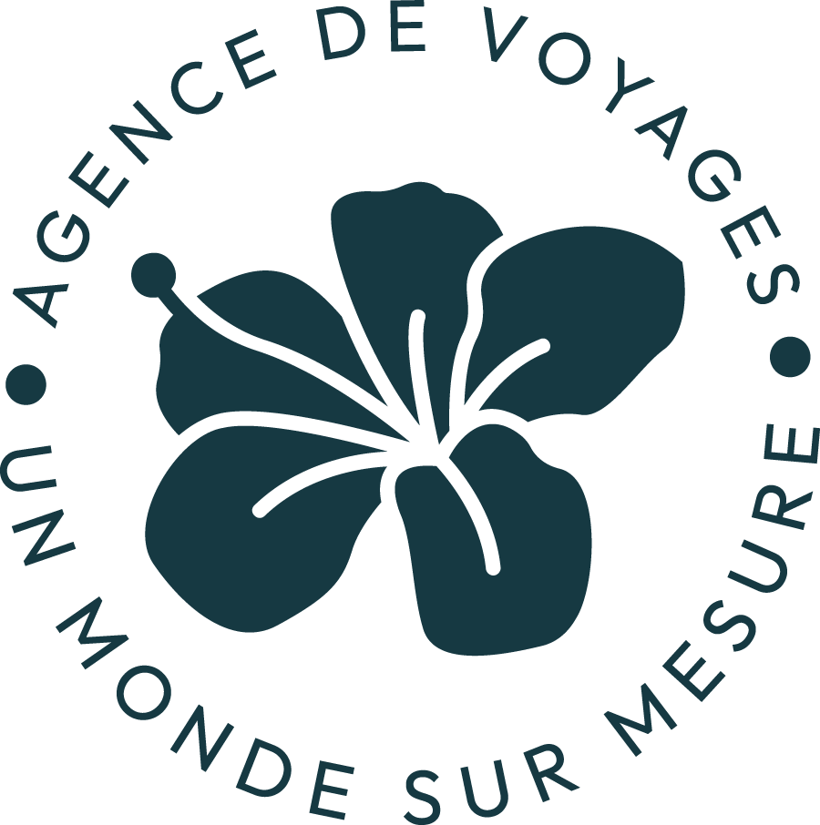 passion-voyages-logo-icône-full-bleu